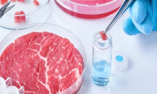 Лабораторный анализ пищевых продуктов по СанПиН в Серпухове в октябре