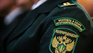 Подготовка к проверке Росприроднадзора в Серпухове от ПромМир-Срп, стоимость услуги от 20322 руб.